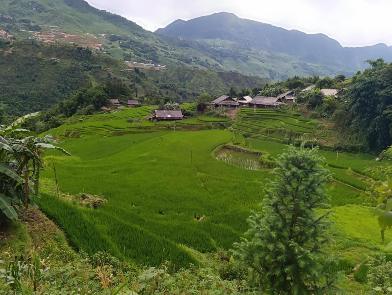 Muong Hoa Eco & Trekking Homestay *