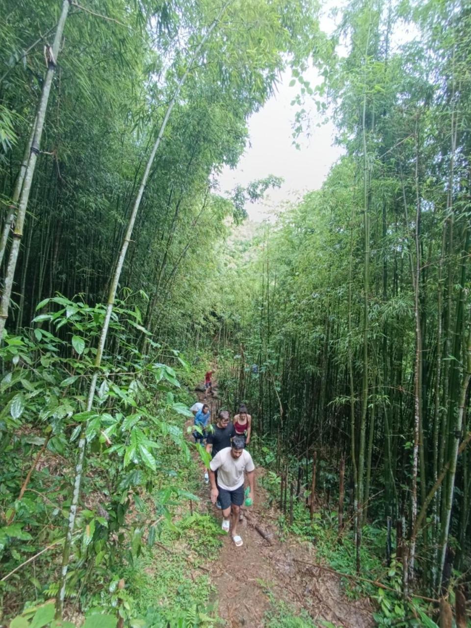 Muong Hoa Eco & Trekking Homestay Sa Pa