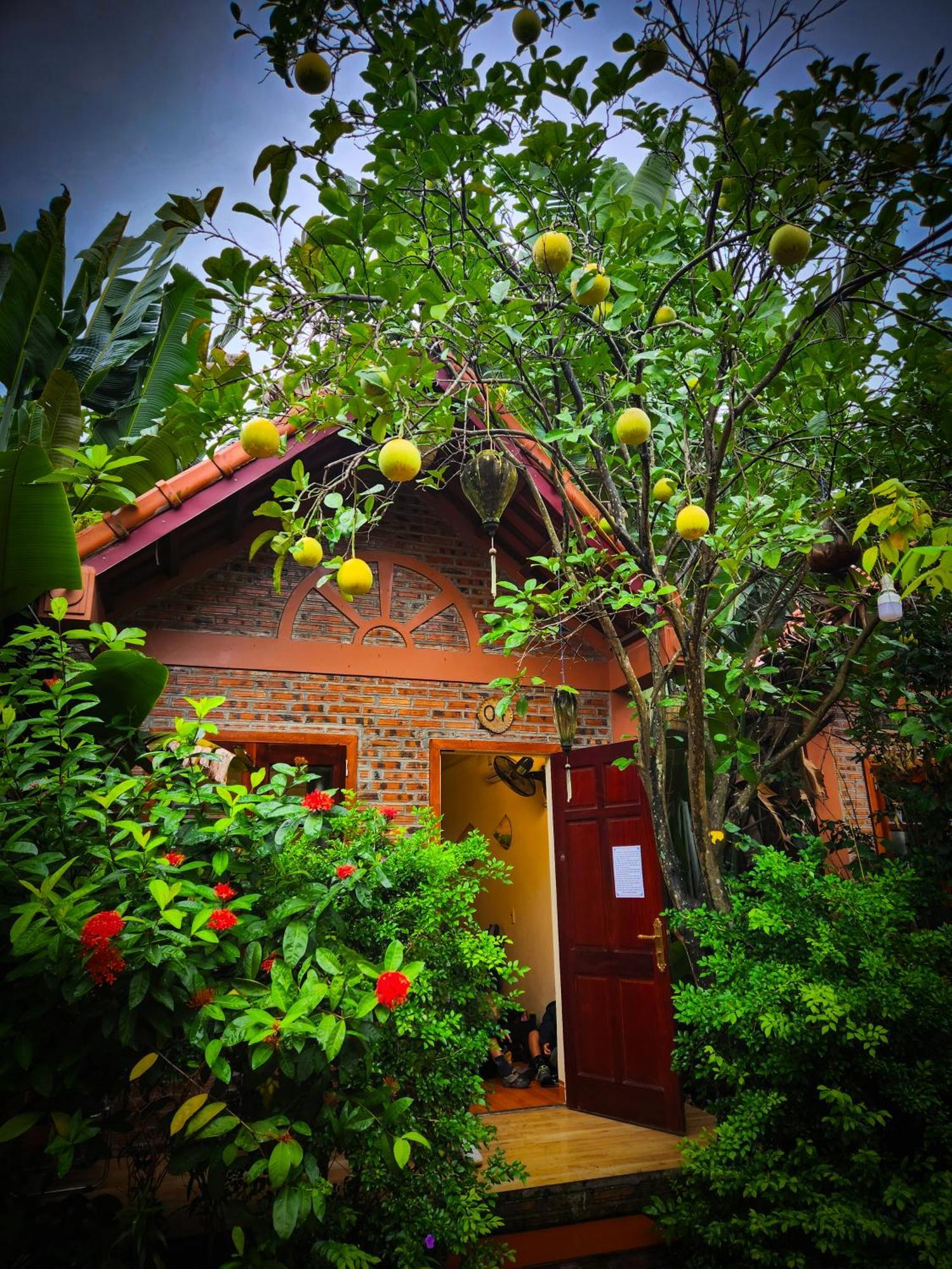 Trang An Village Ở trọ