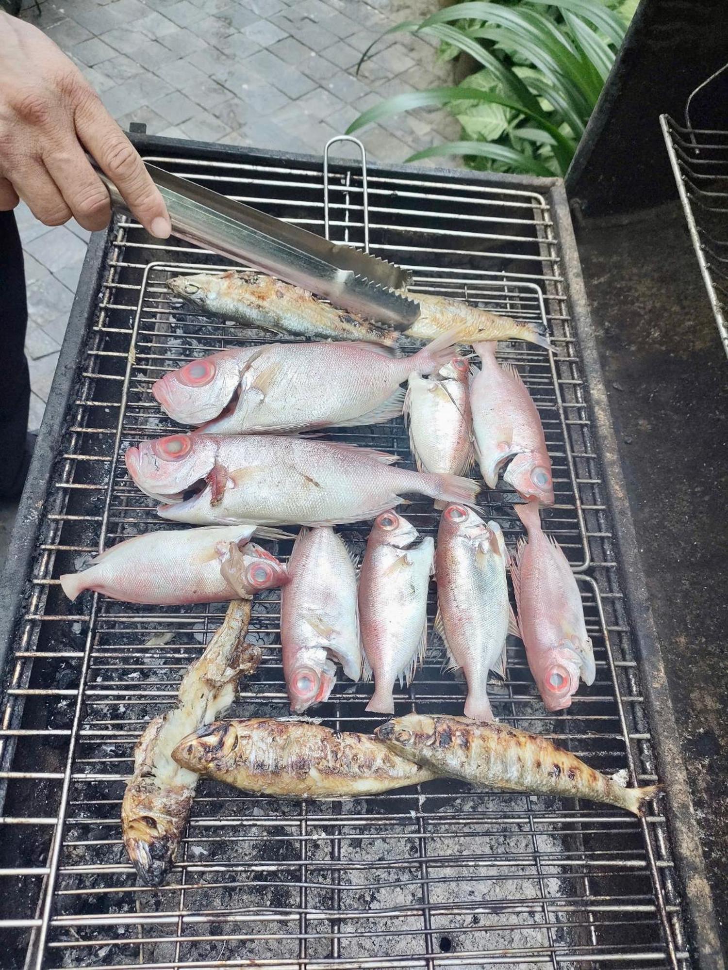 Khách sạn Rice River -