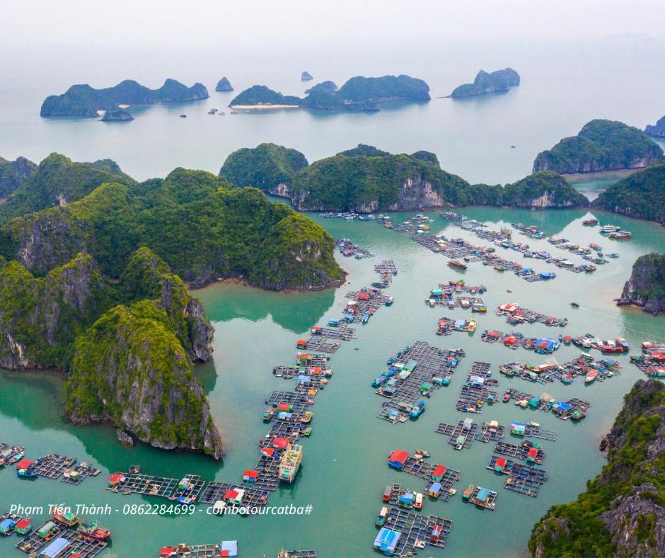 Hotel Cat Ba Bay Vision *