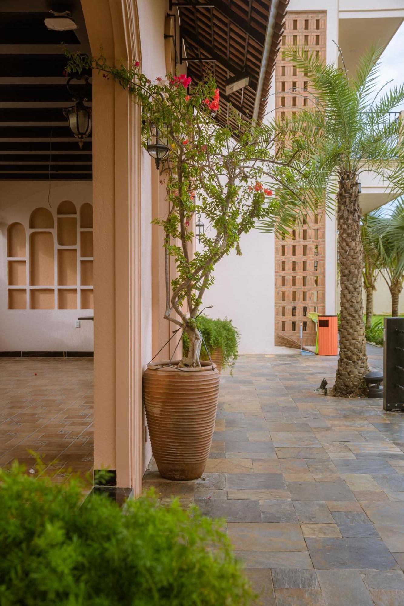 Thai Binh 2