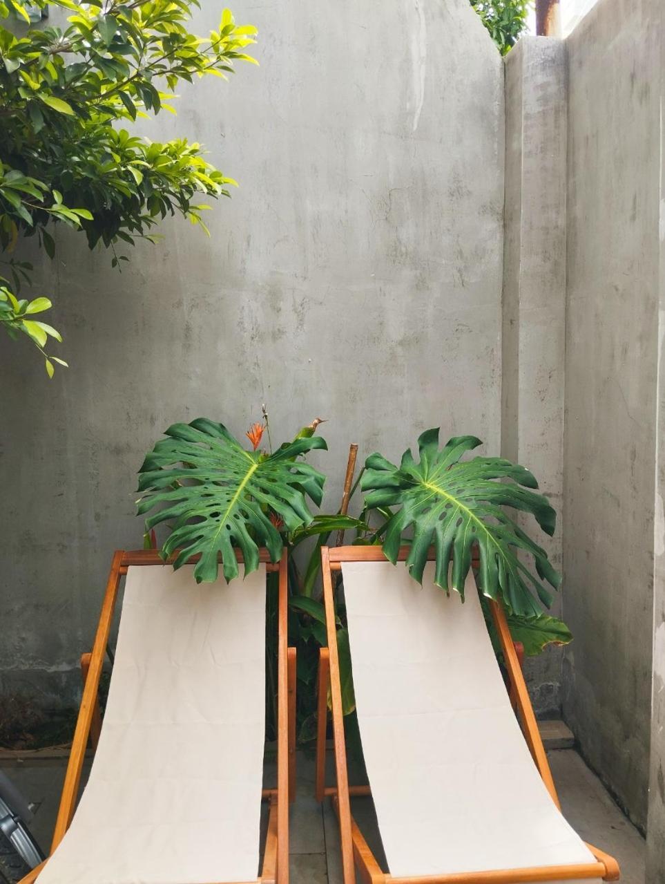 Bai Sau Vip - Next Villa