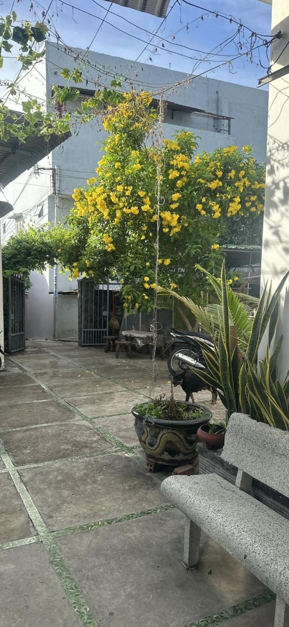 N.nghi Nhat Apartment