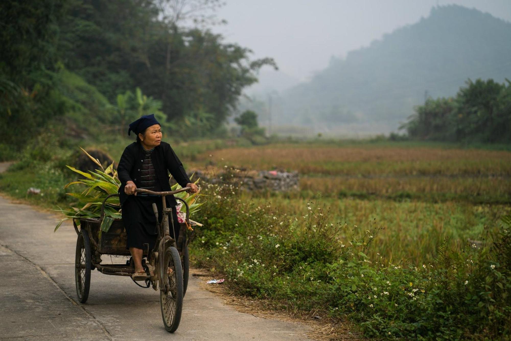Homestay Time Travel - Loop Tour *