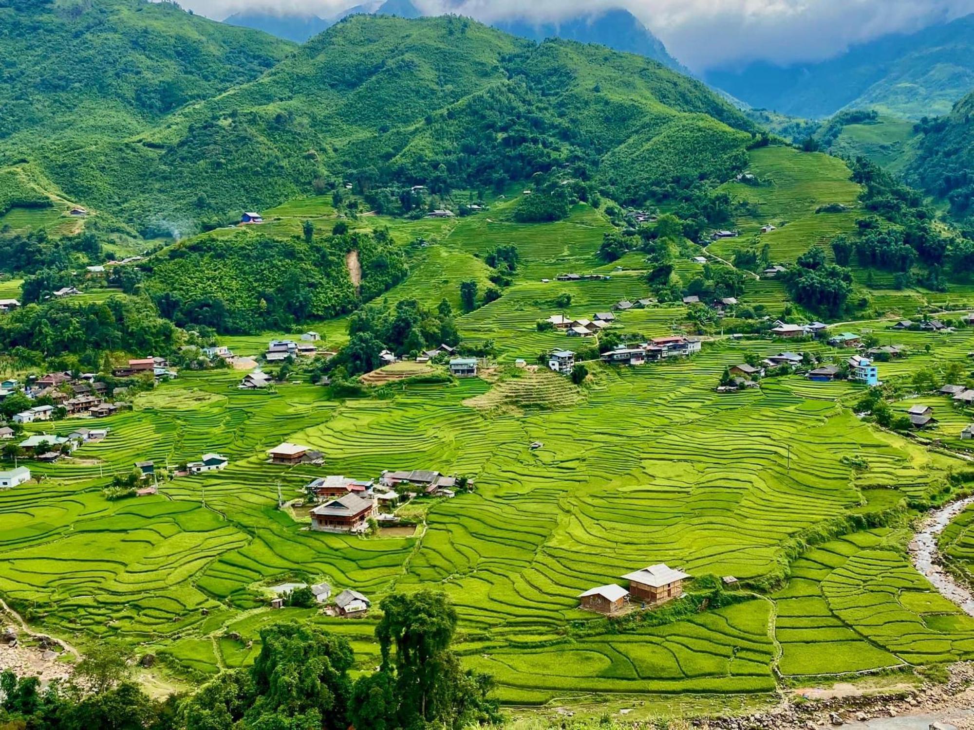 Nhà trọ Pea *