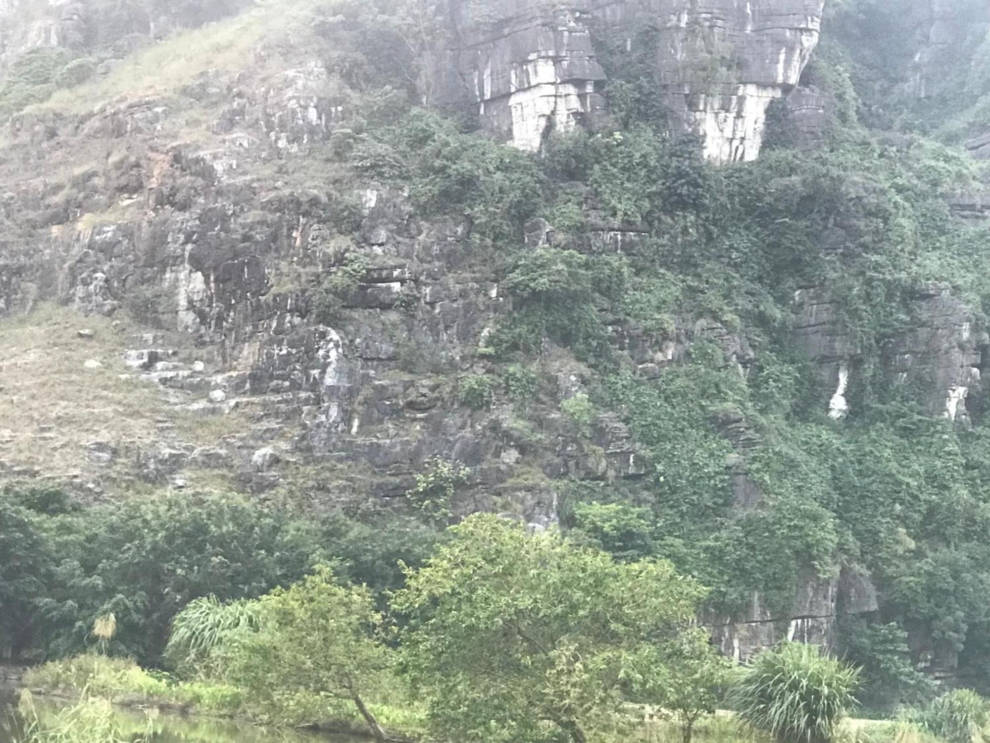 Retreat Capsule hotel Ninh Binh