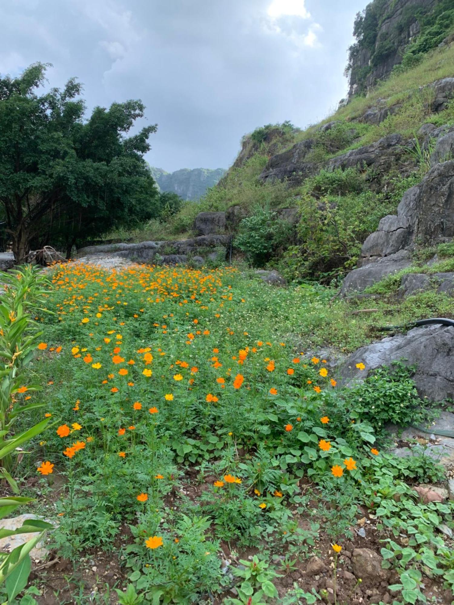 Retreat * Ninh Binh