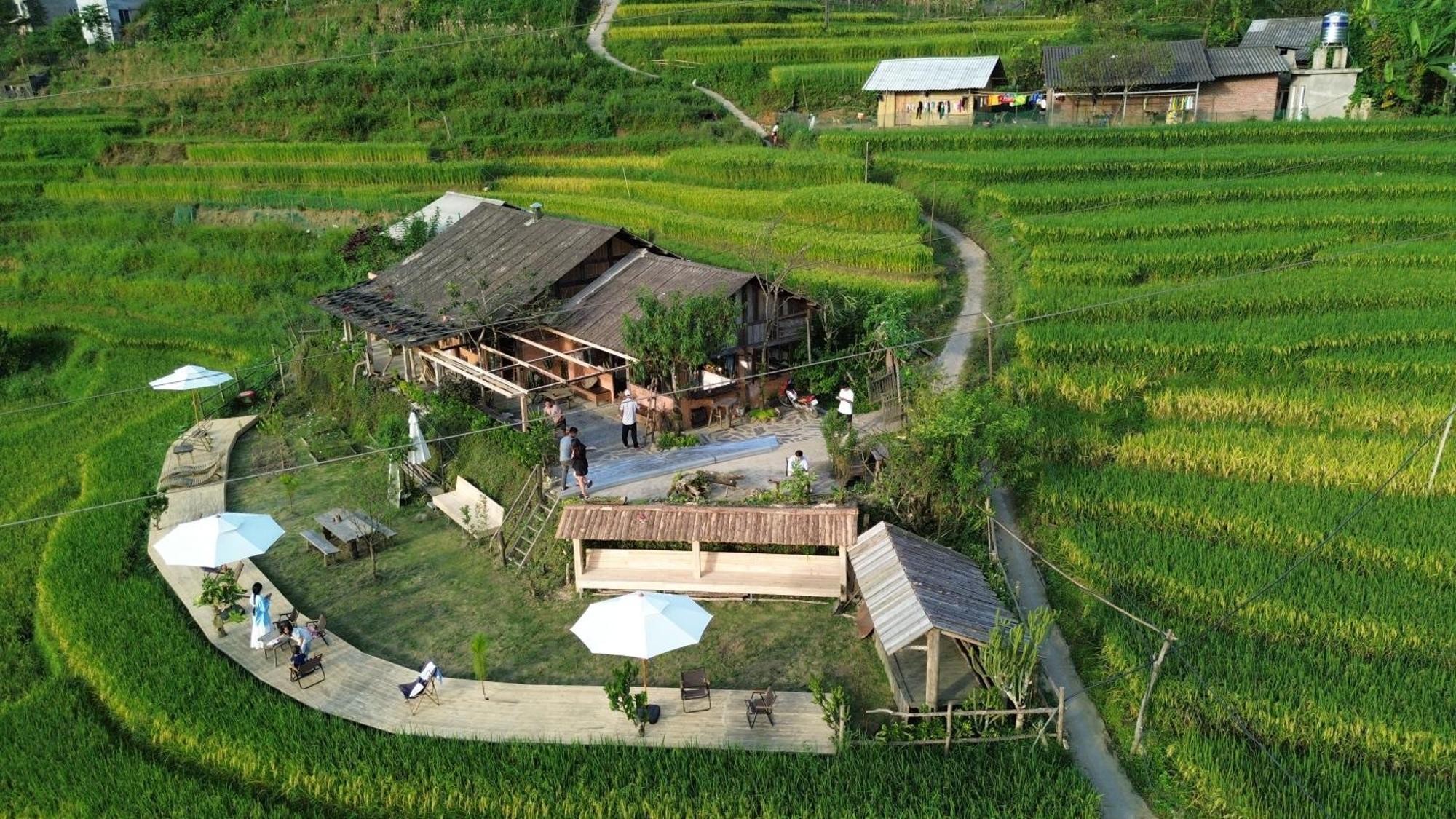 Pavi Garden