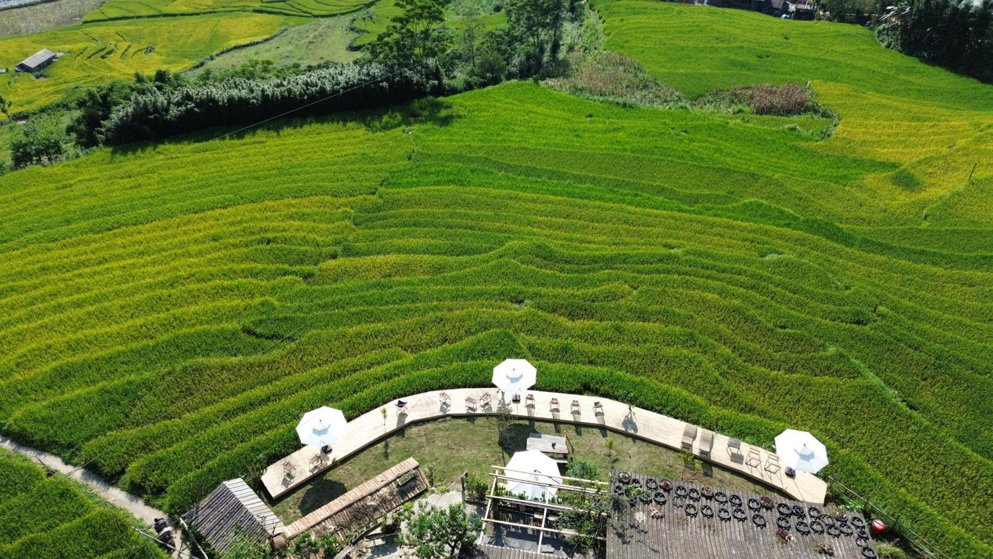 Ở trọ Pavi Garden *