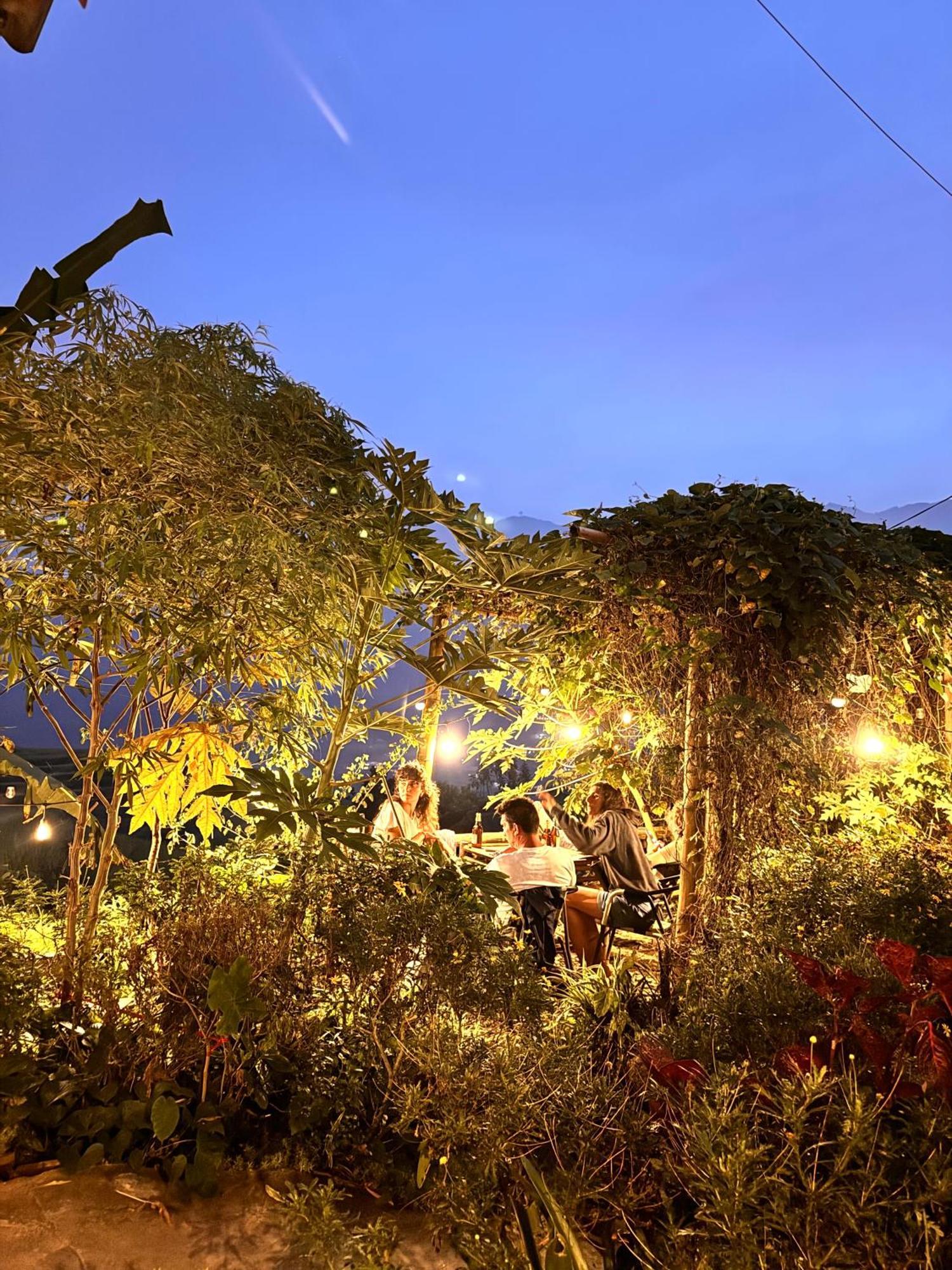 Surelee Ở trọ