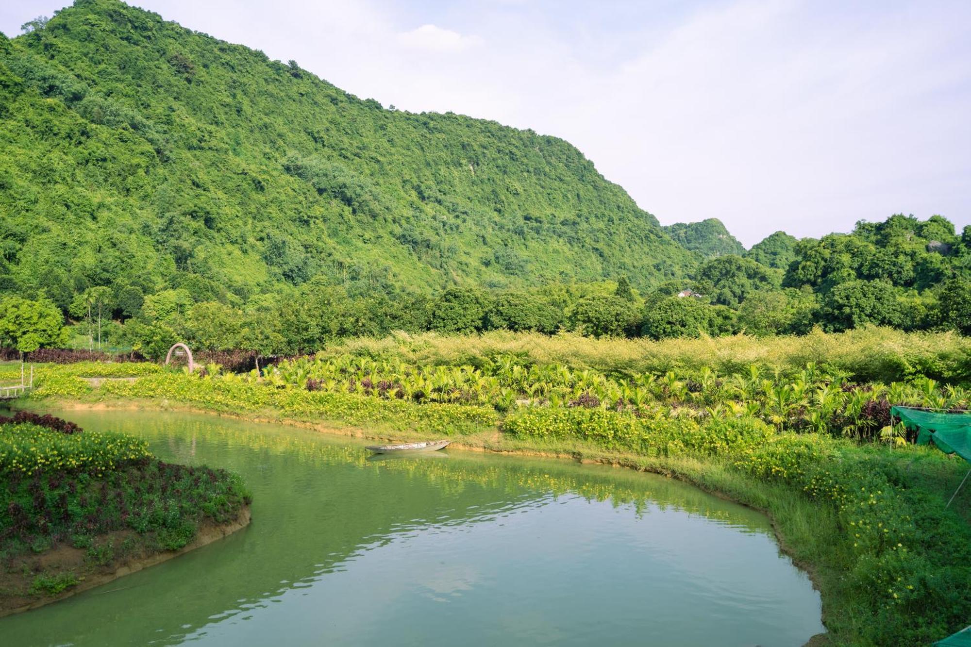 Thung Nham Ninh Binh