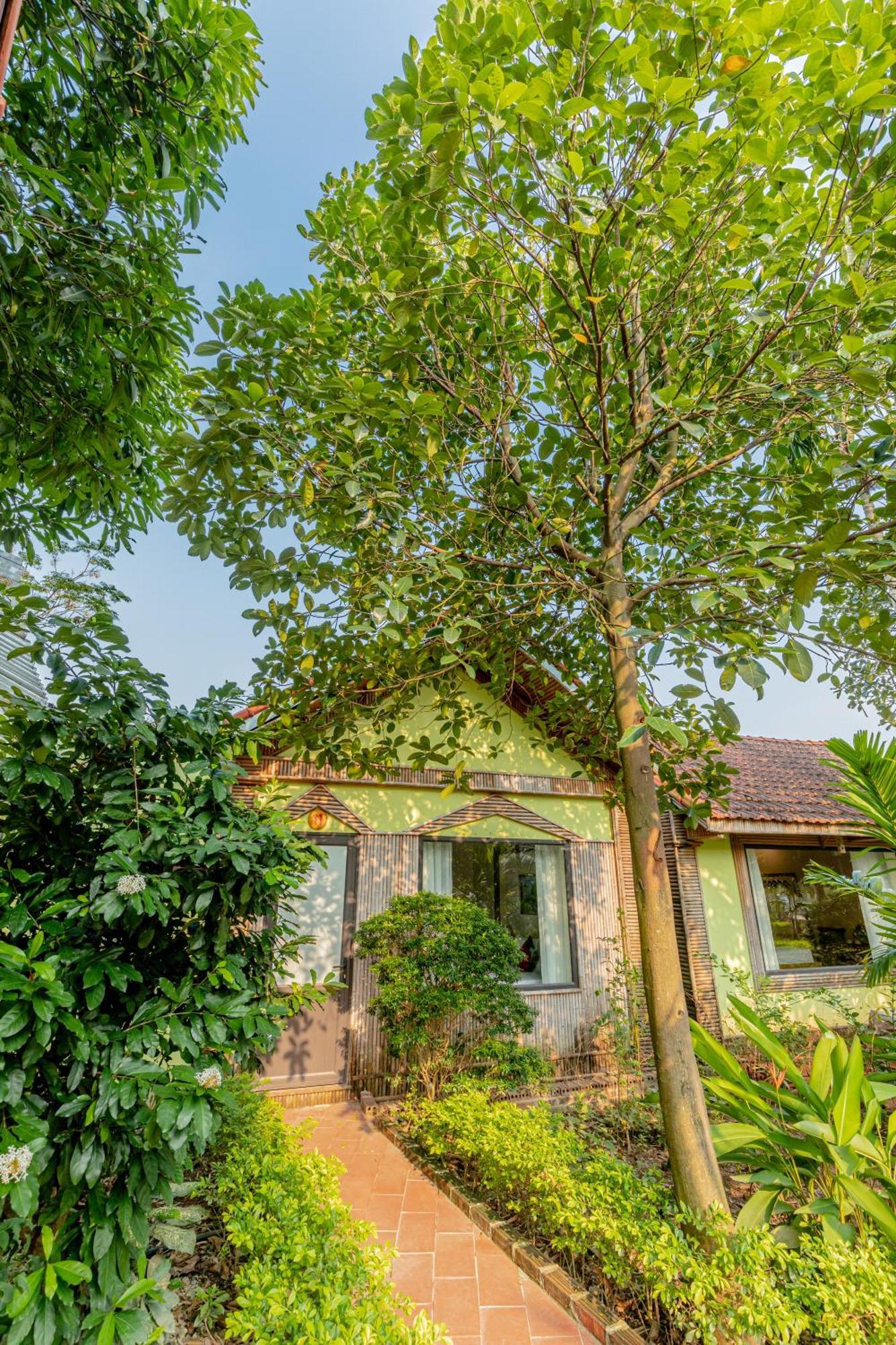 Tam Coc Garden Lodge Ninh Binh
