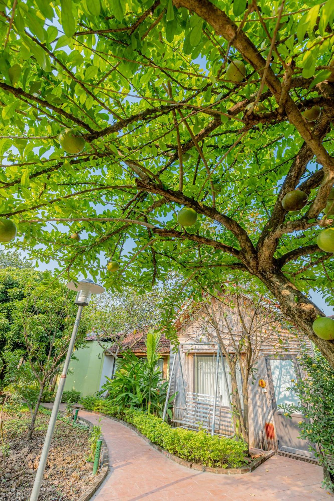 Tam Coc Garden Lodge