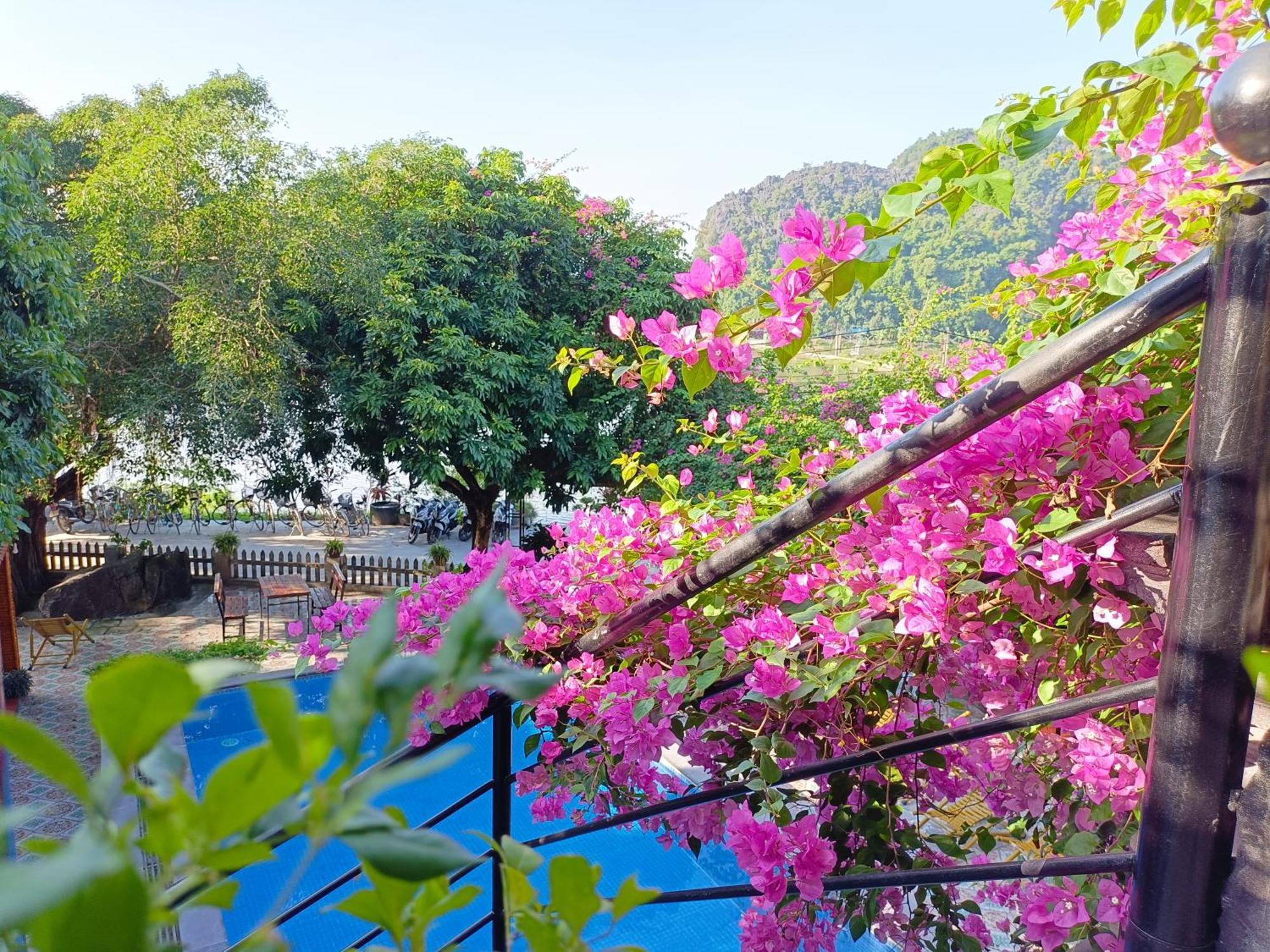 Tam Coc Sunshine Khách sạn