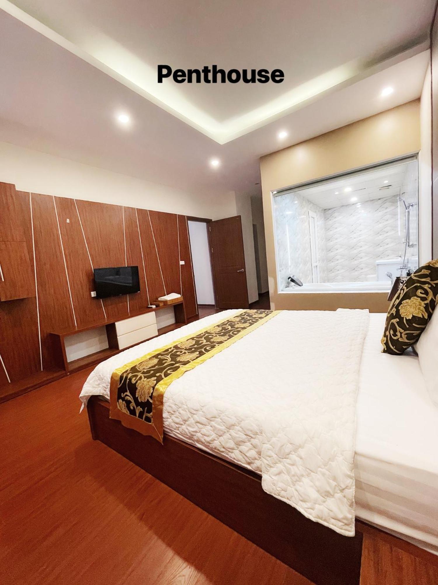 Apartment Vip