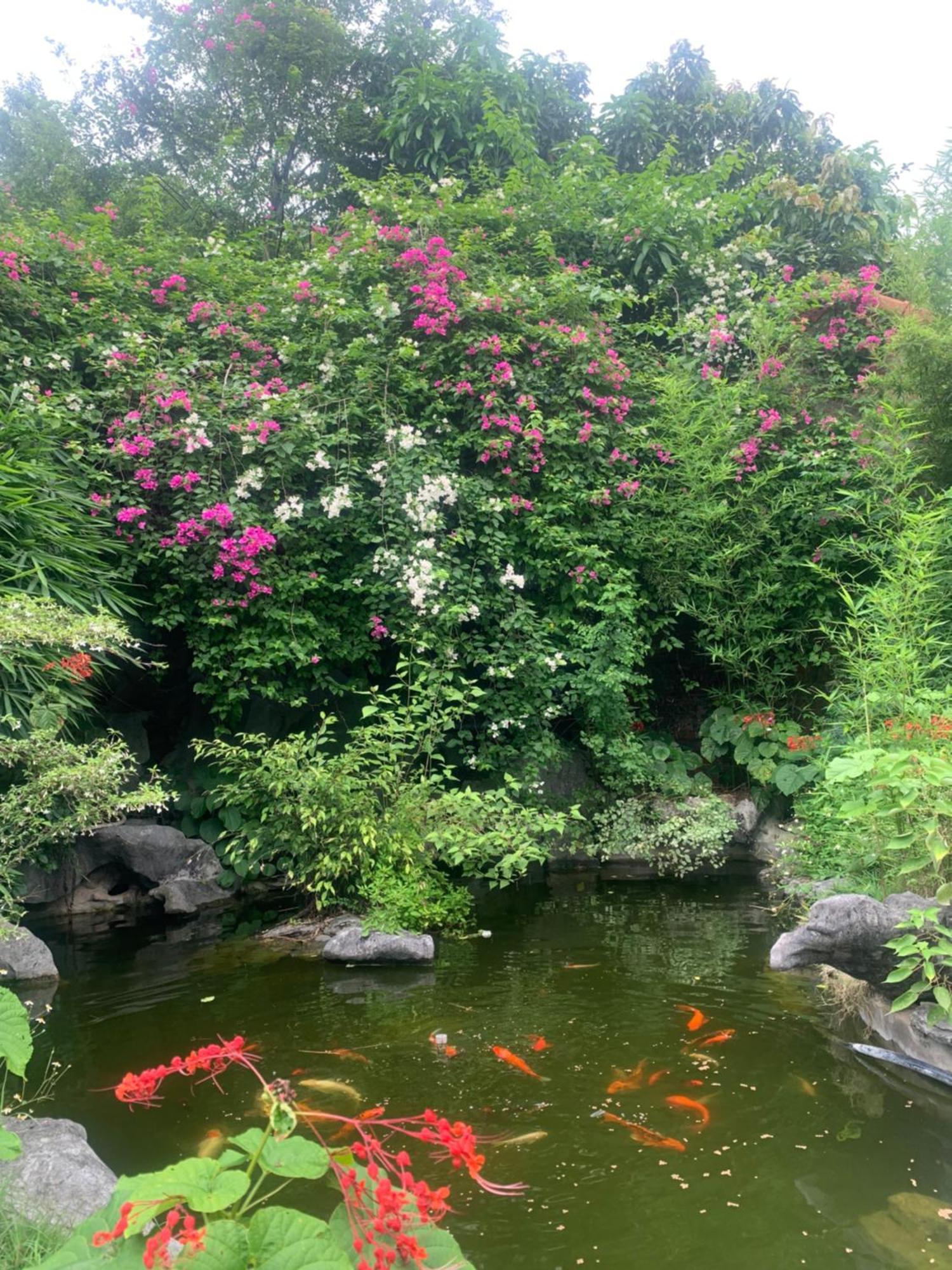 Resort Tam Coc Sunshine