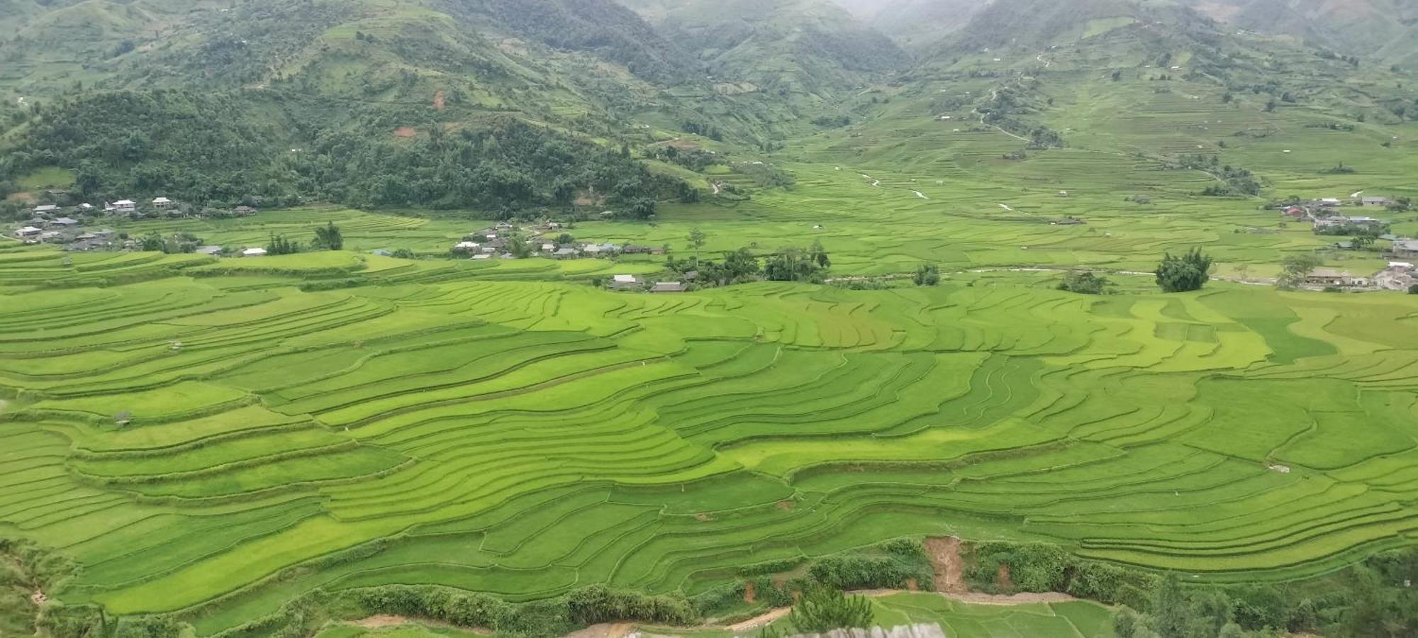 Blue Mu Cang Chai