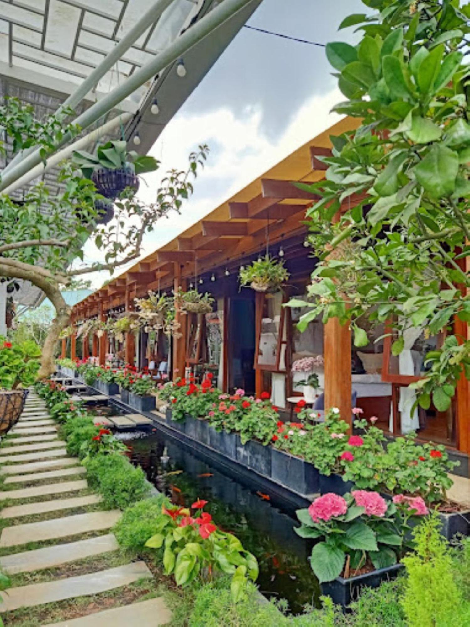 Vuon Tra Mang Den Resort Kon Von Kla