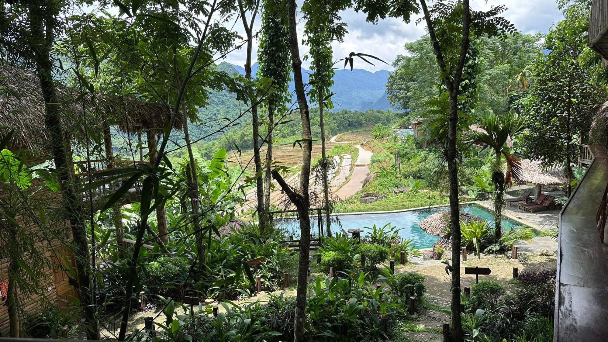 Natura Resort 4*