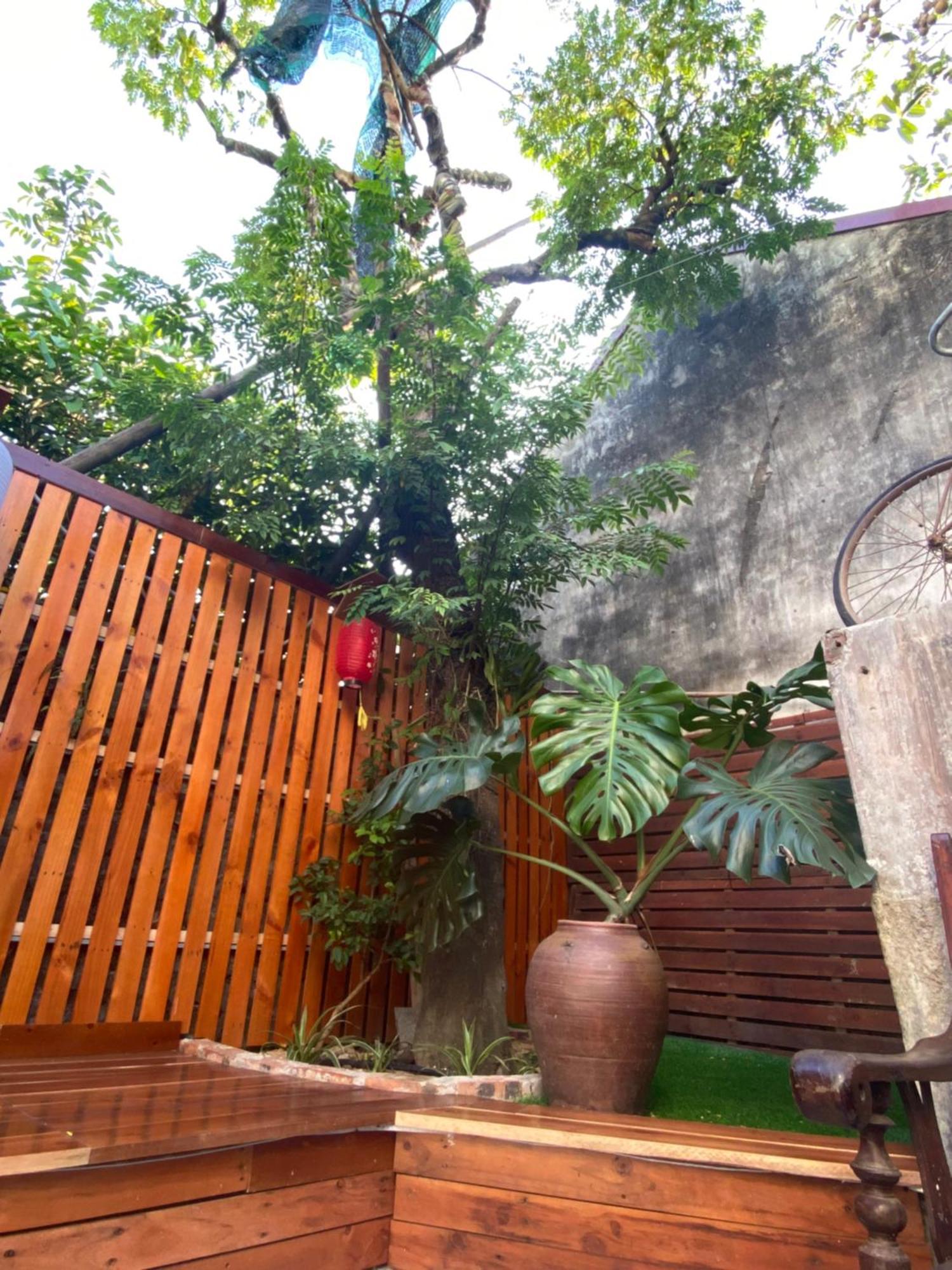 Ohayo Tam Coc Privatunterkunft *