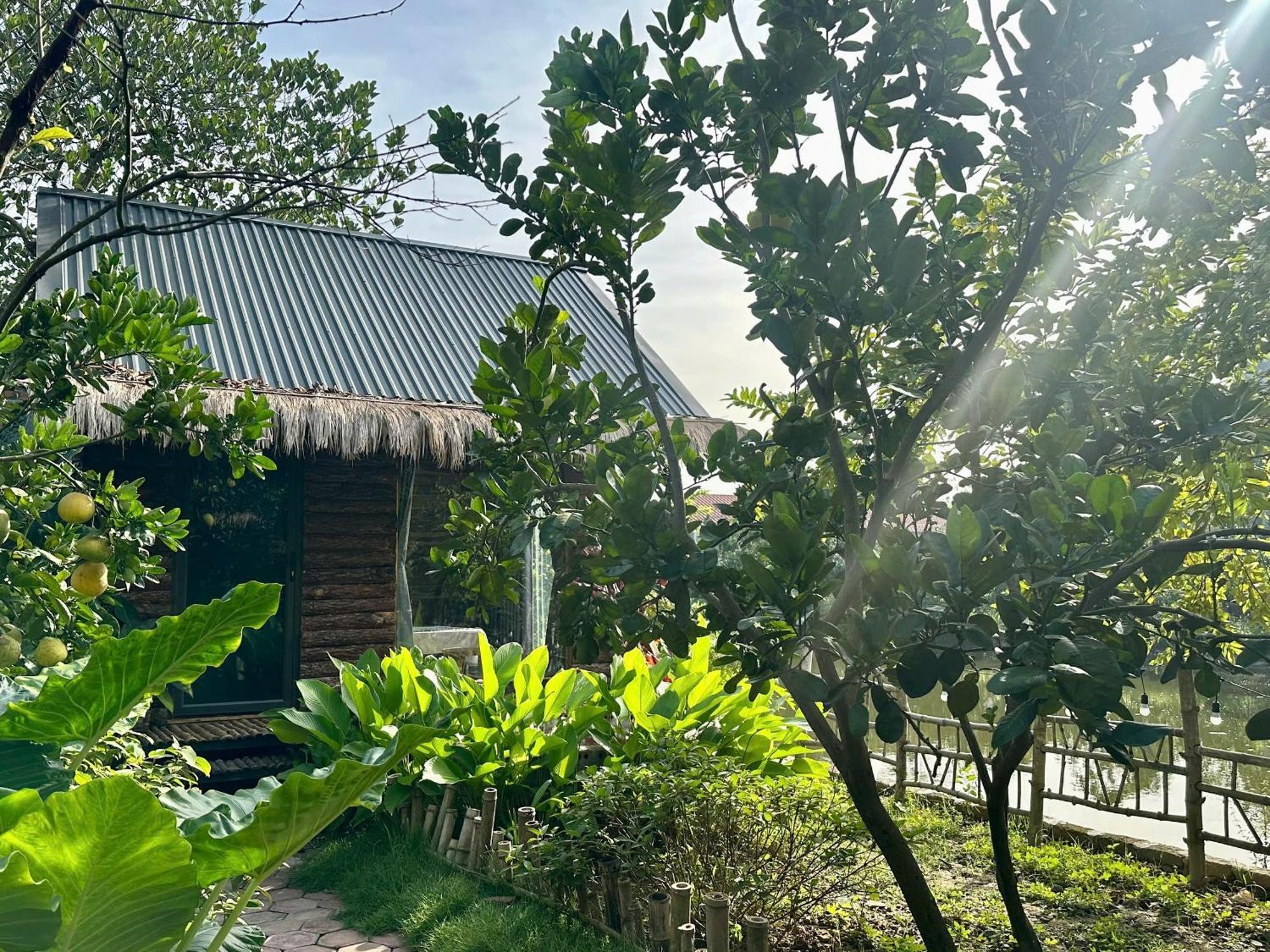 Nhà ở miền quê Peaceful Refuge Ninh Bình