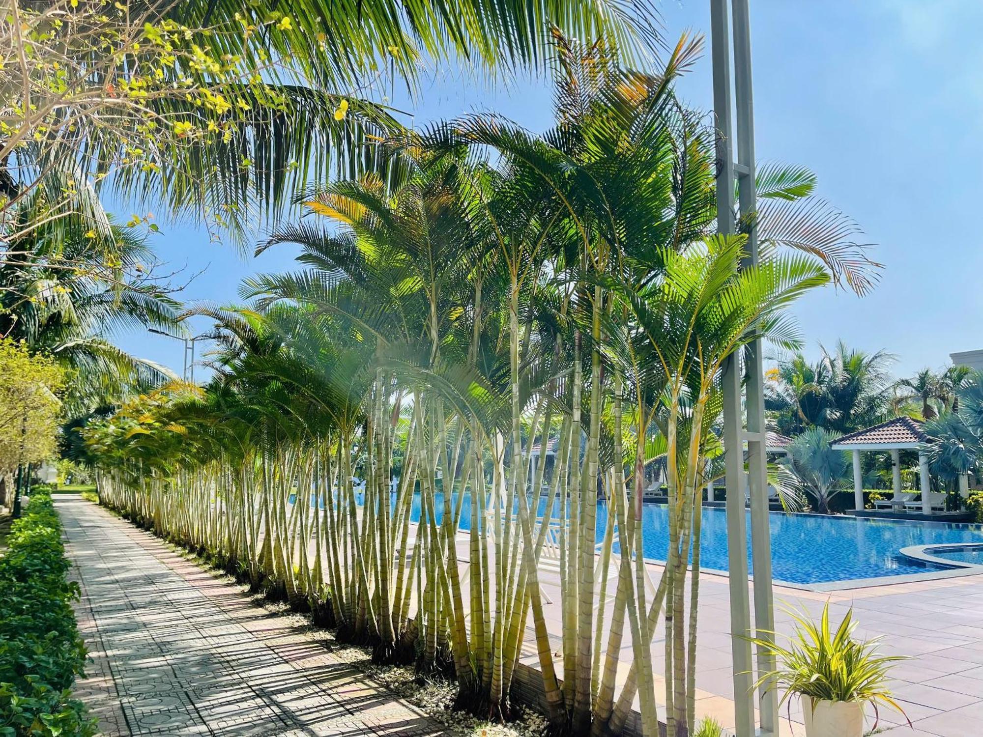 Gold Coast & 5*
