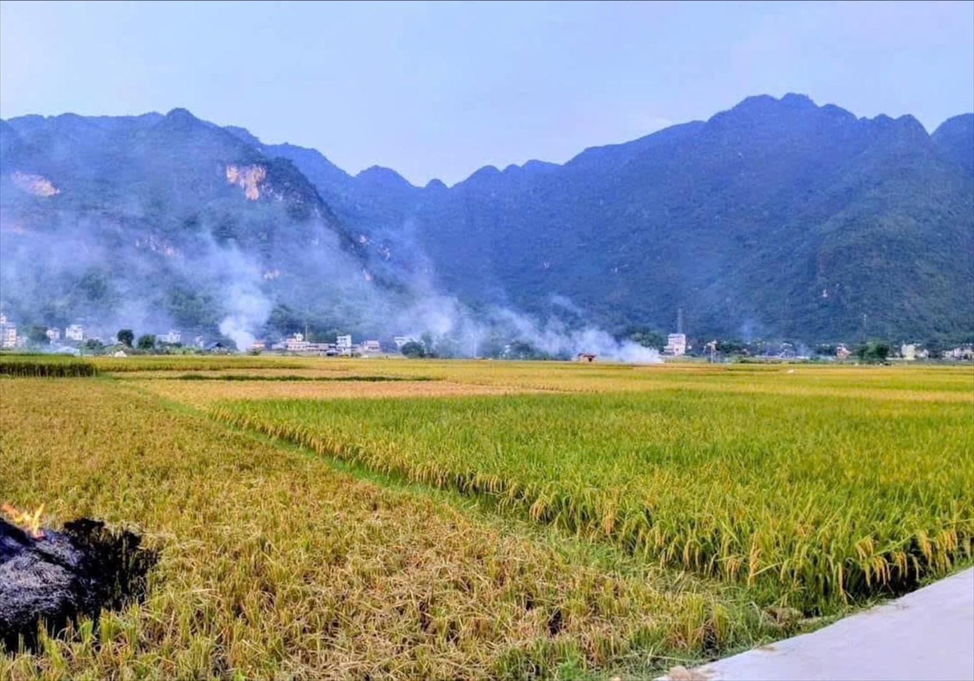 Privatunterkunft Rice Fields Mai Châu