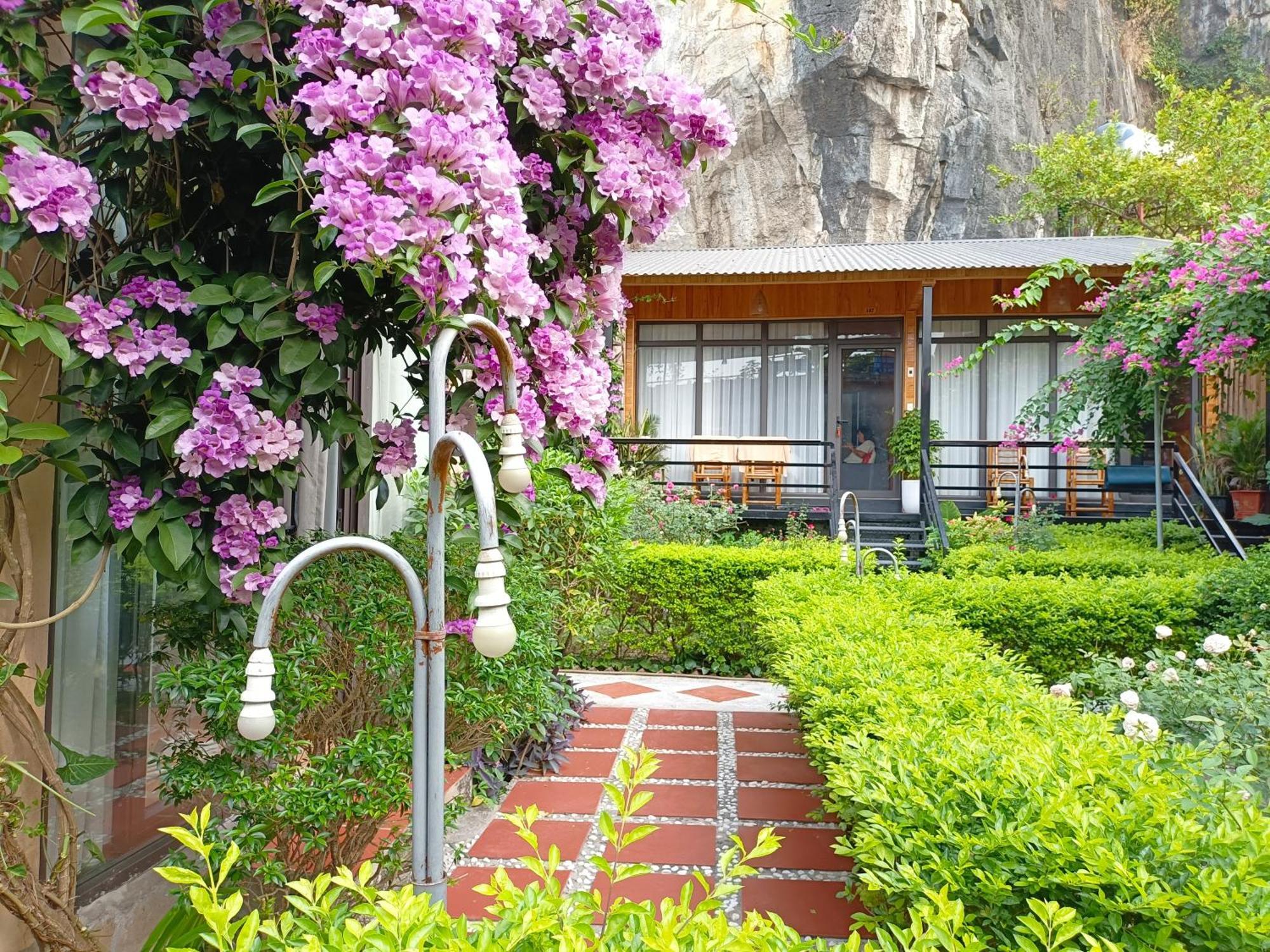 Tam Coc Sunshine Khách sạn