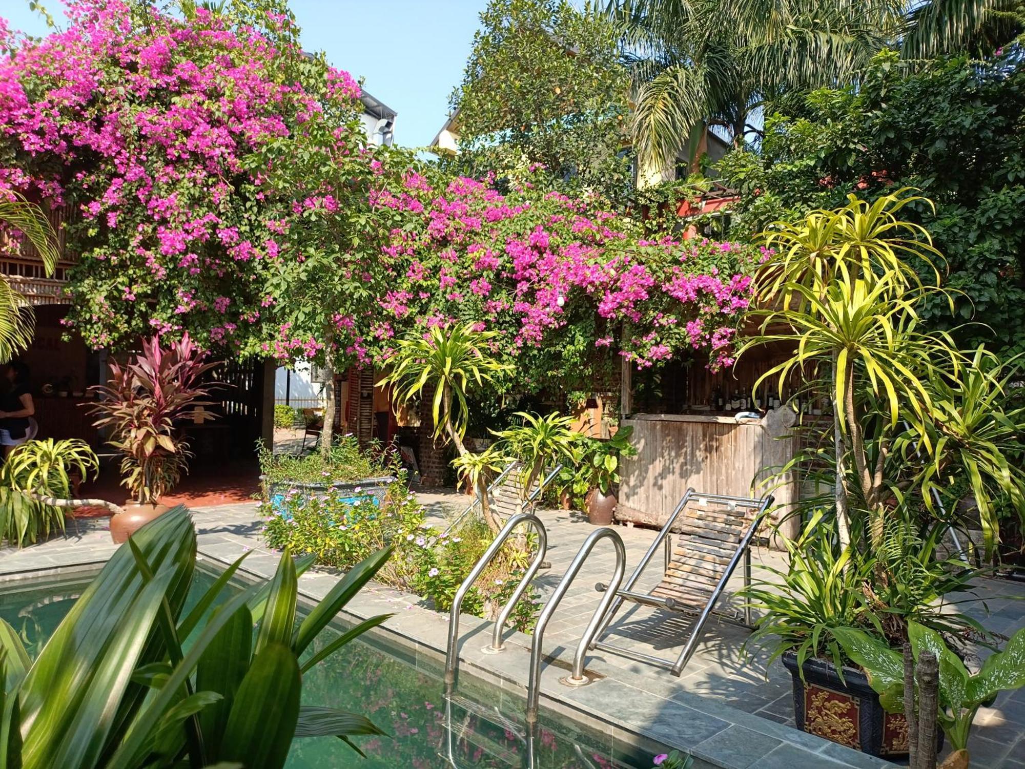 Tam Coc Tropical Garden Khách sạn