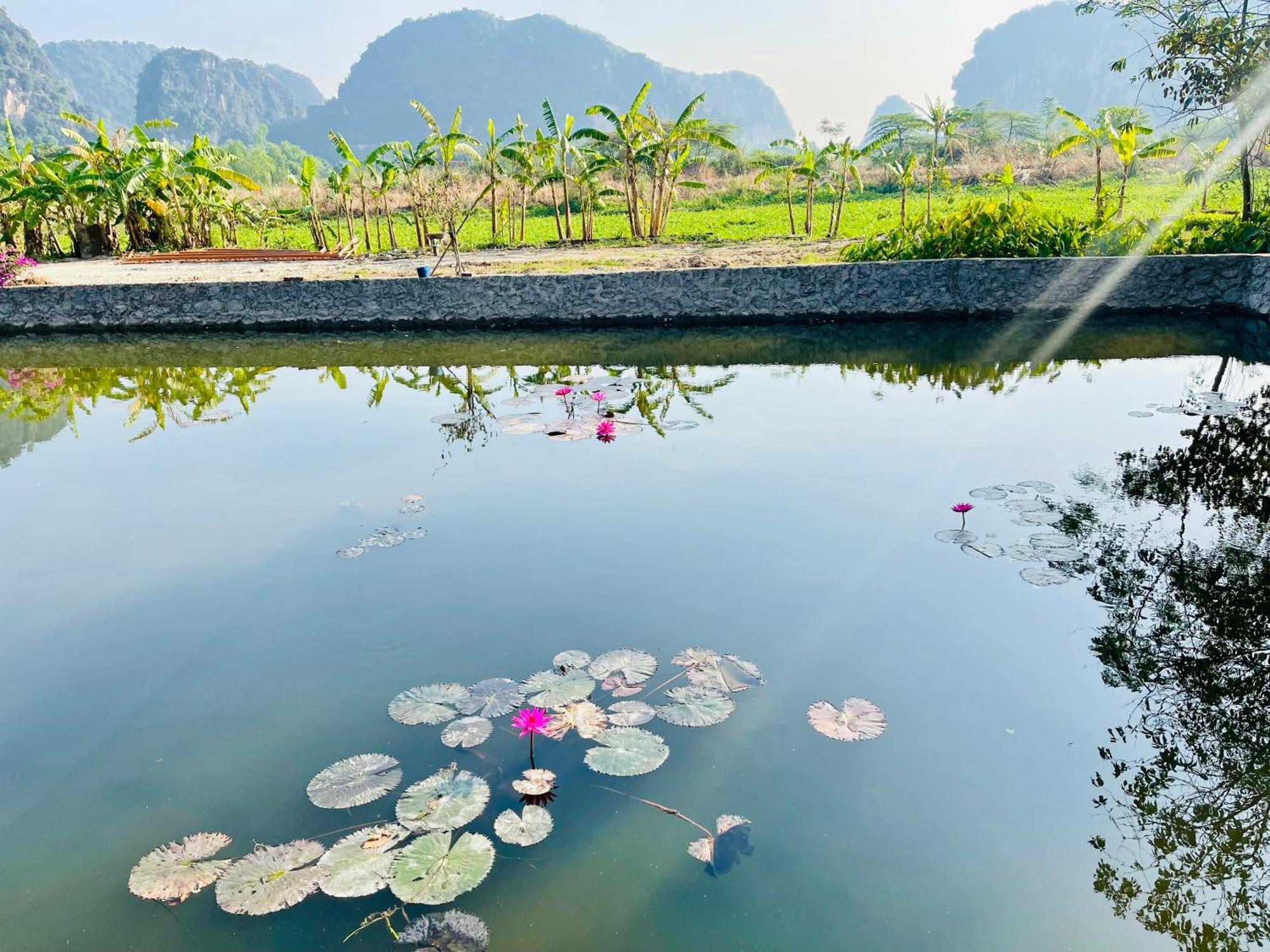 Trang An Lotus Bed & Breakfast *