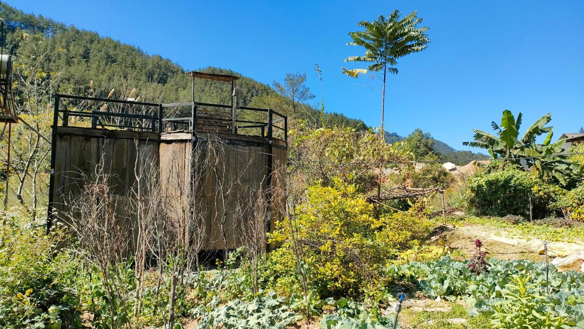 Backpacker Lodge Mu Cang Chai