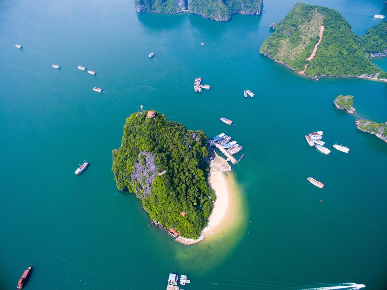 Arcady Boutique Cruise