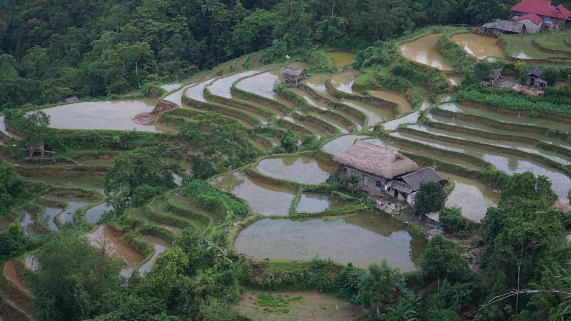 Bed & Breakfast Hoang Su Phi - Mong Ngua Ha Giang