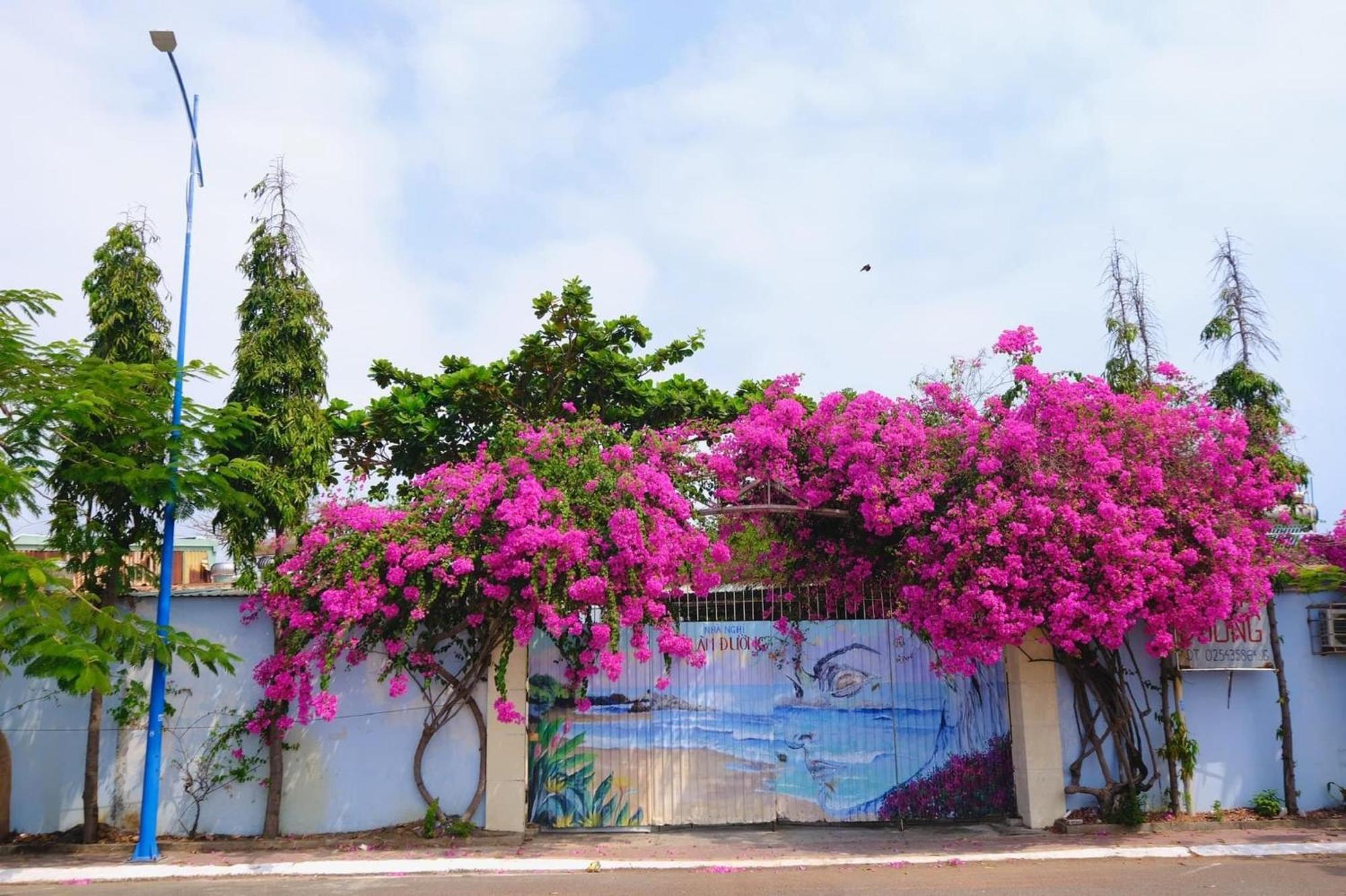 Biet Thu Hoang Duc Co Ho Boi Villa Vung Tau