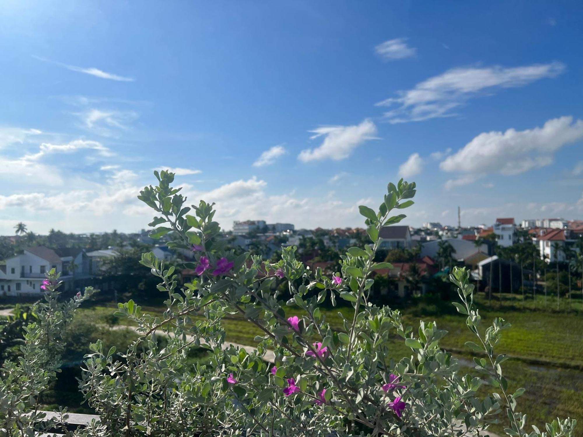 Hoi An Pinus Boutique Hotel Tan Thanh