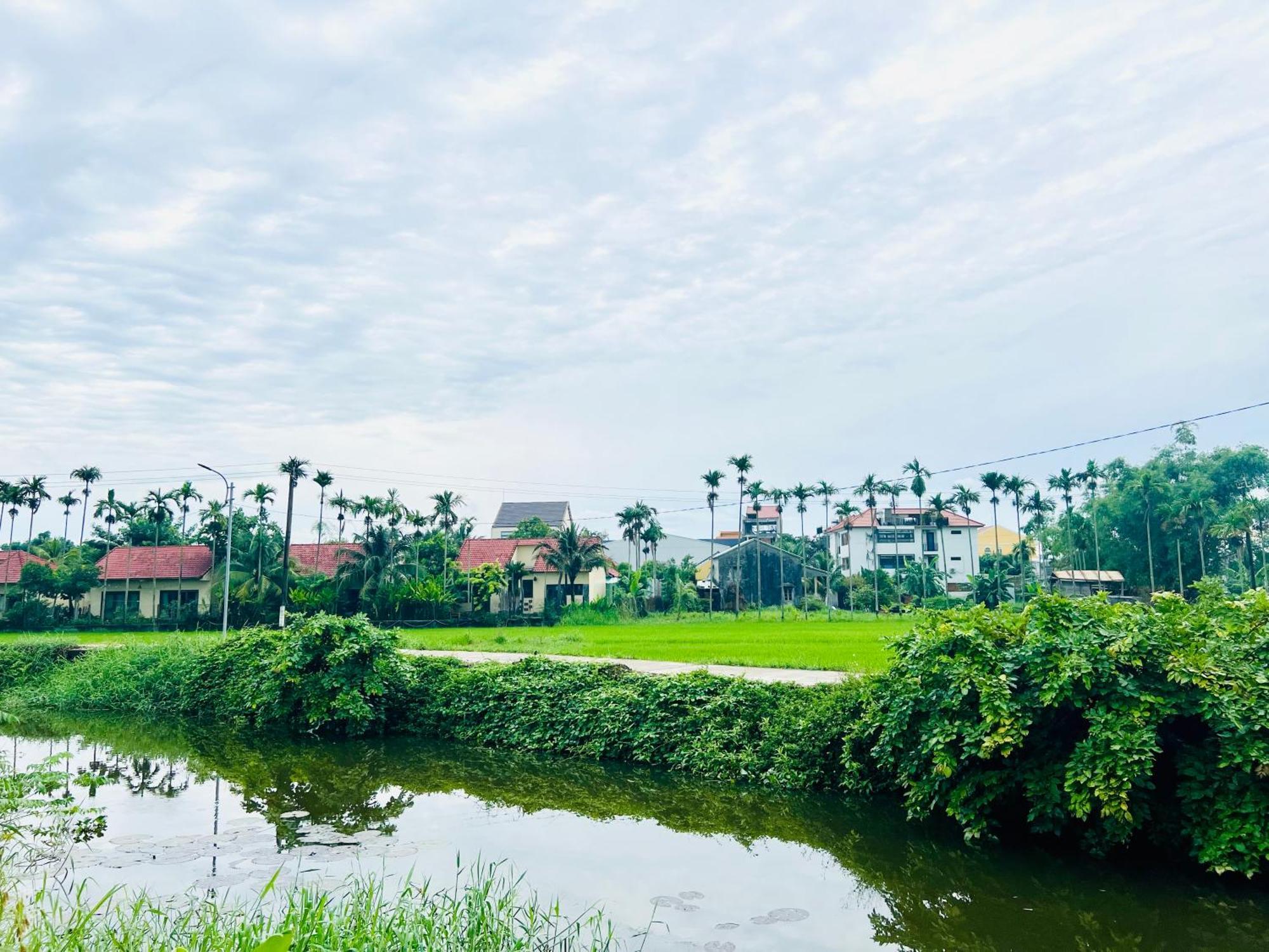 Hotel Hoi An Pinus Boutique