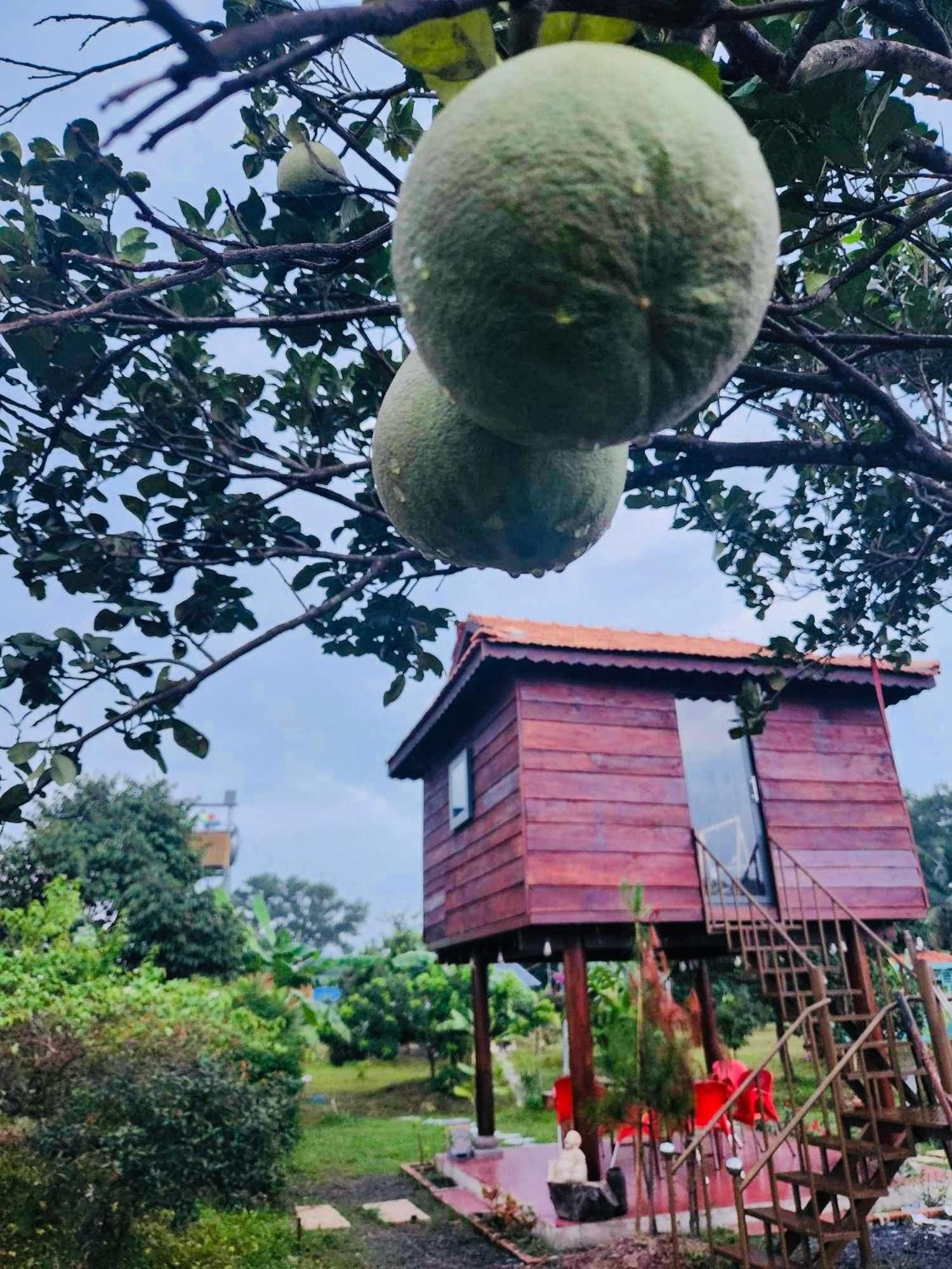 Guest house Huong Sen Garden *