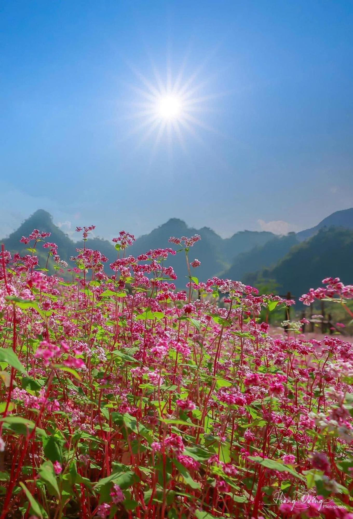 Thuy Anh Hotel Ha Giang