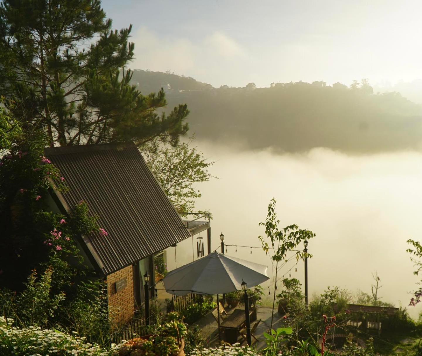 Lengkeng Da Lat