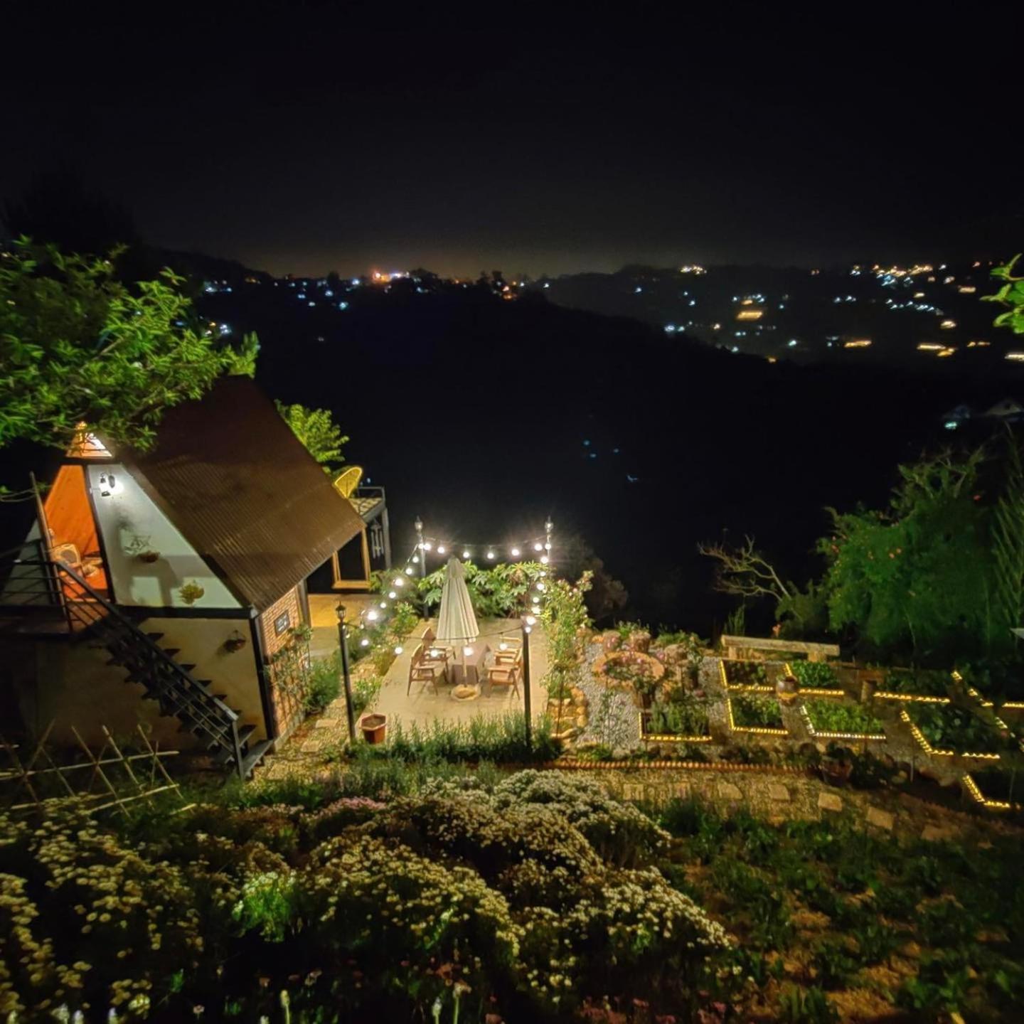 Lengkeng * Da Lat