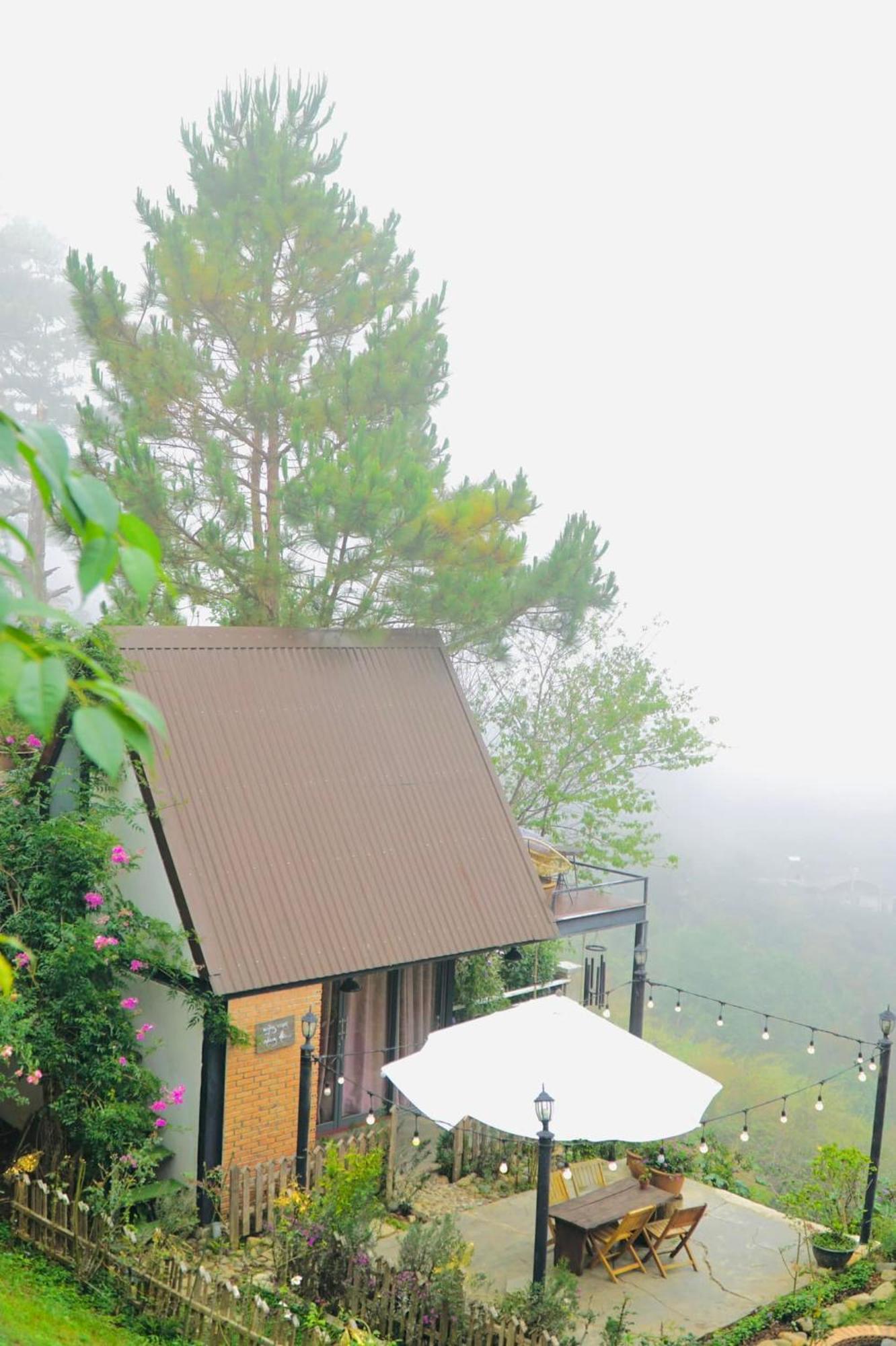 Lengkeng * Da Lat