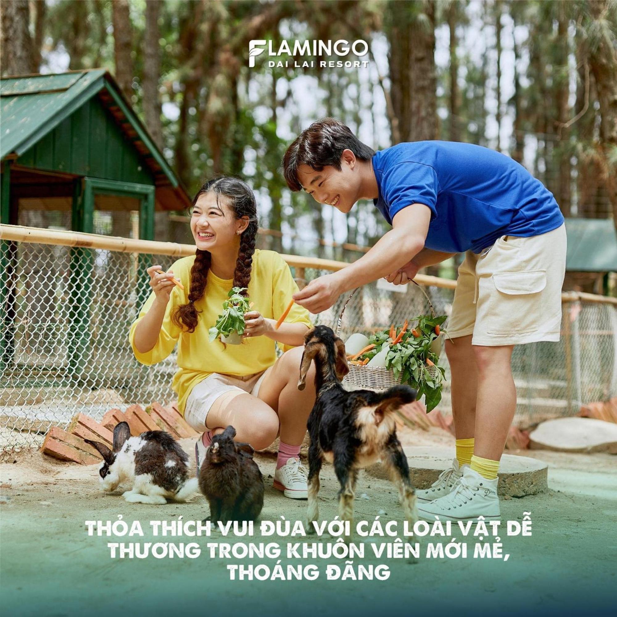Flamigo Dai Lai - Happy *