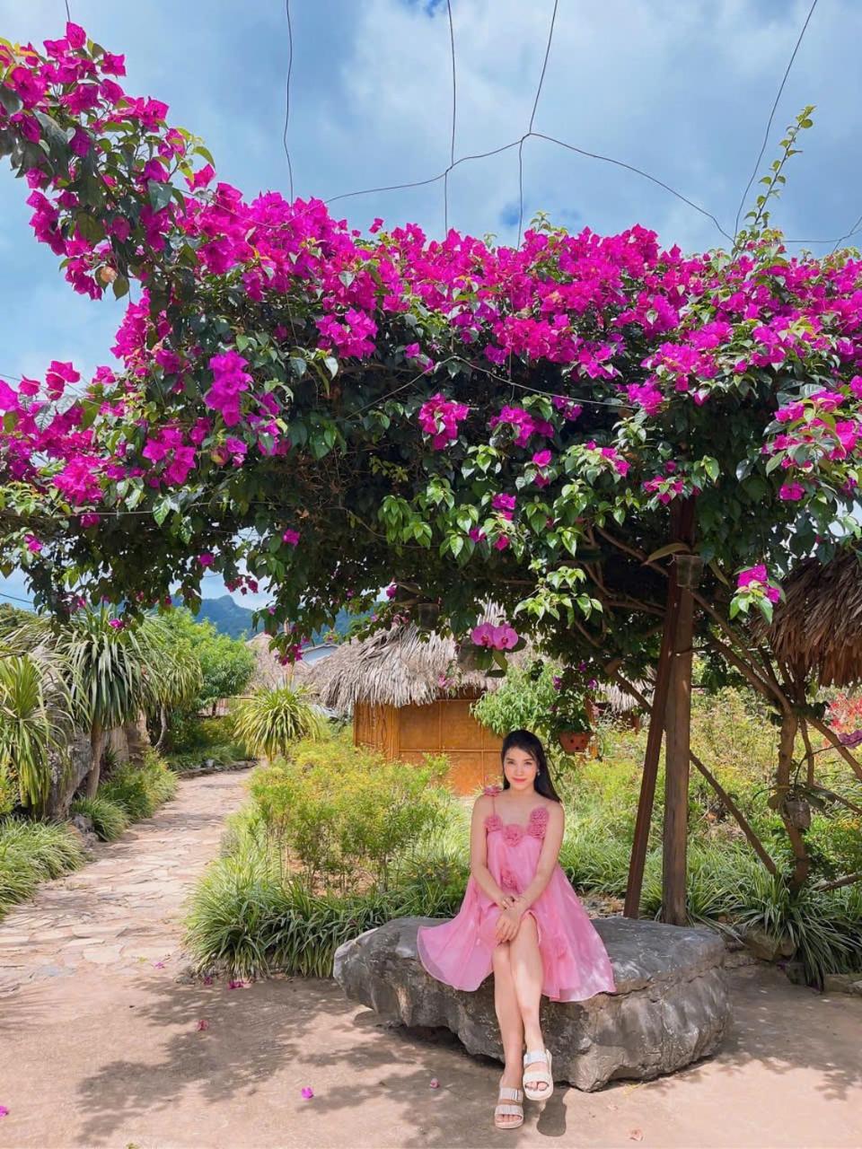 Farm stay Sakura House - Vuon Dao *