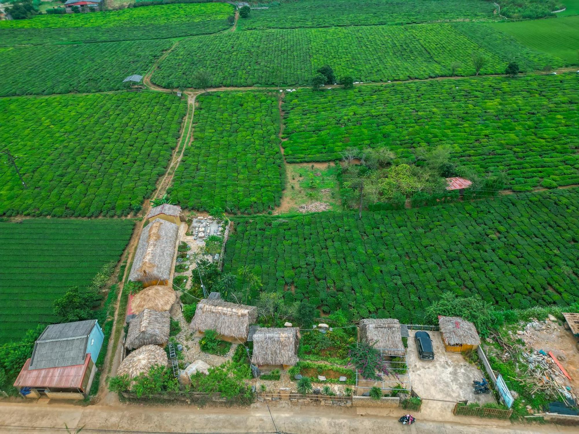 Farm stay Sakura House - Vuon Dao Moc Chau