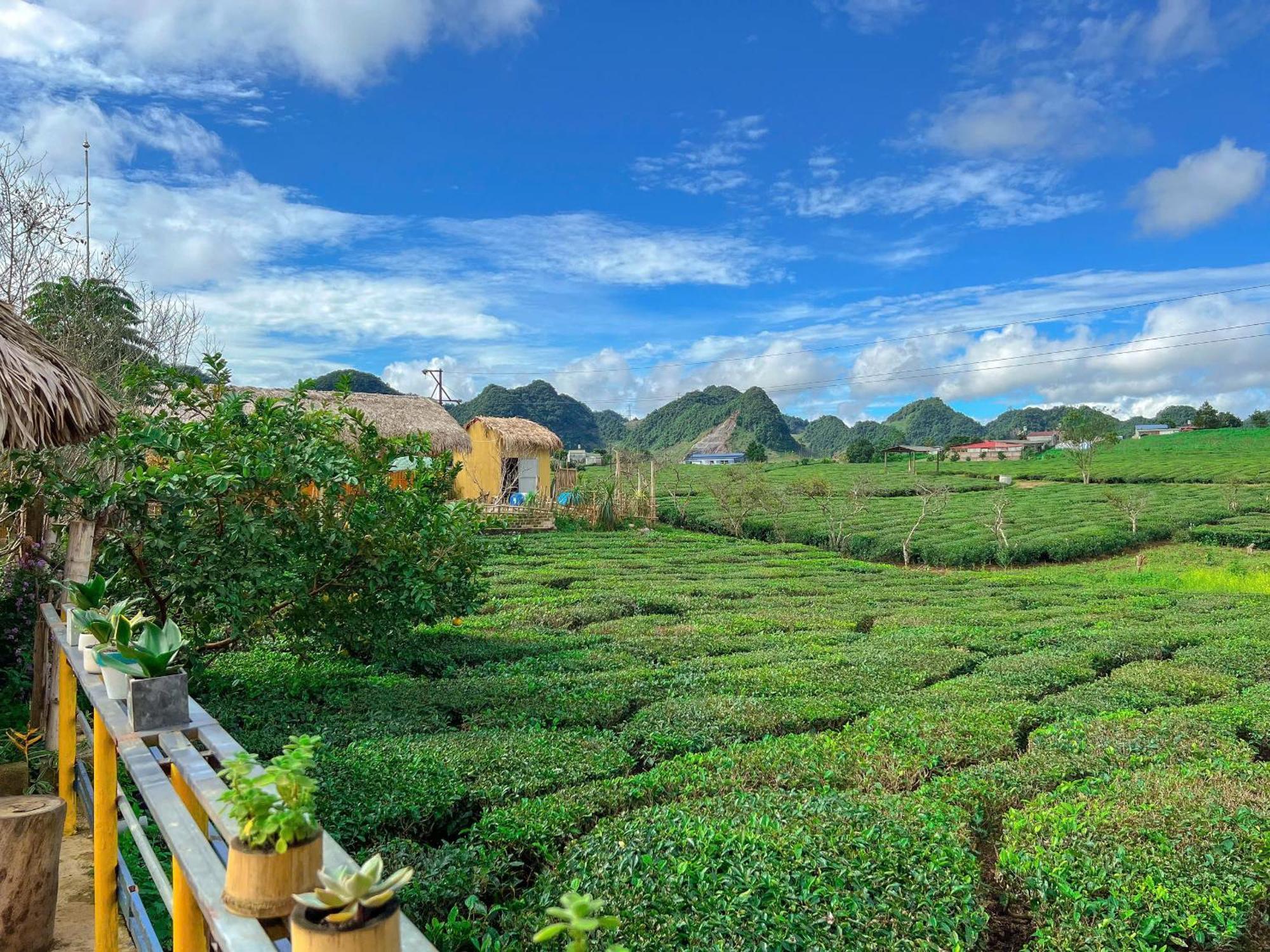 Sakura House - Vuon Dao Farm stay