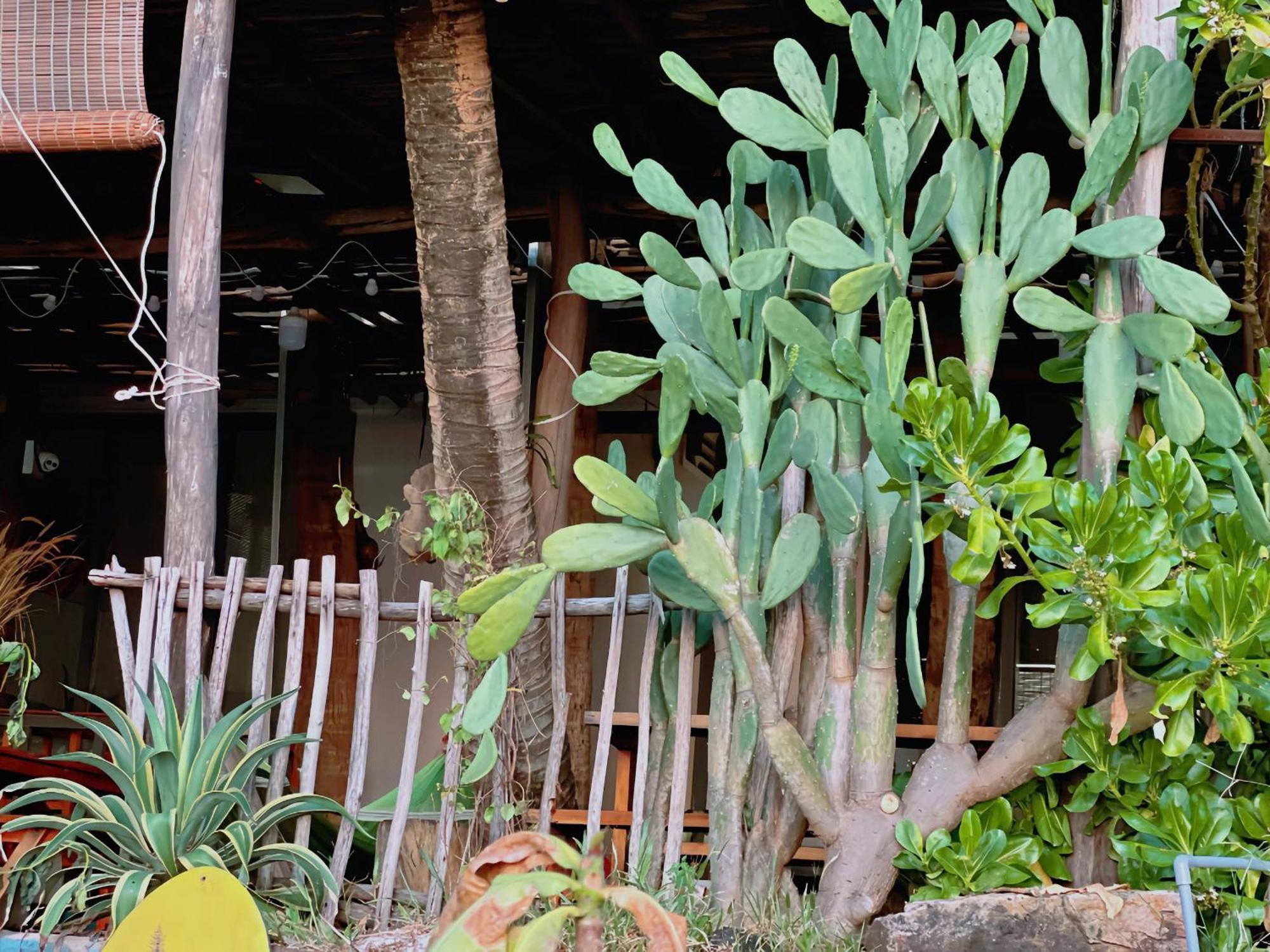 Privatunterkunft Soho 1 Phú Quốc