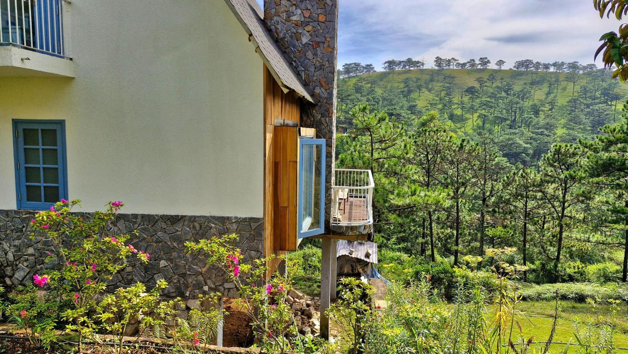 Trien Thong An Nhien Rung Trong Pho Da Lat