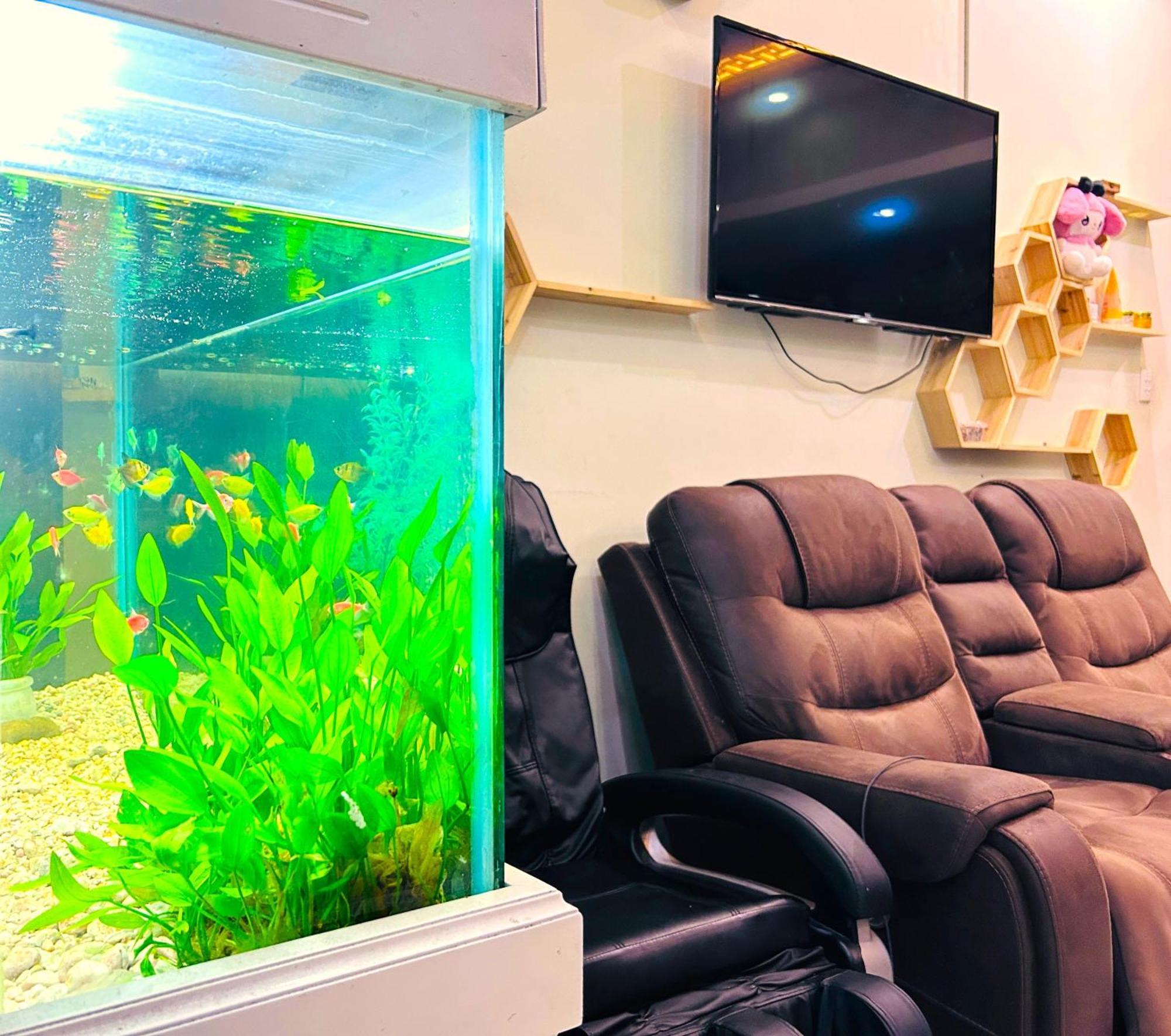 Tnh Khách sạn Vũng Tàu