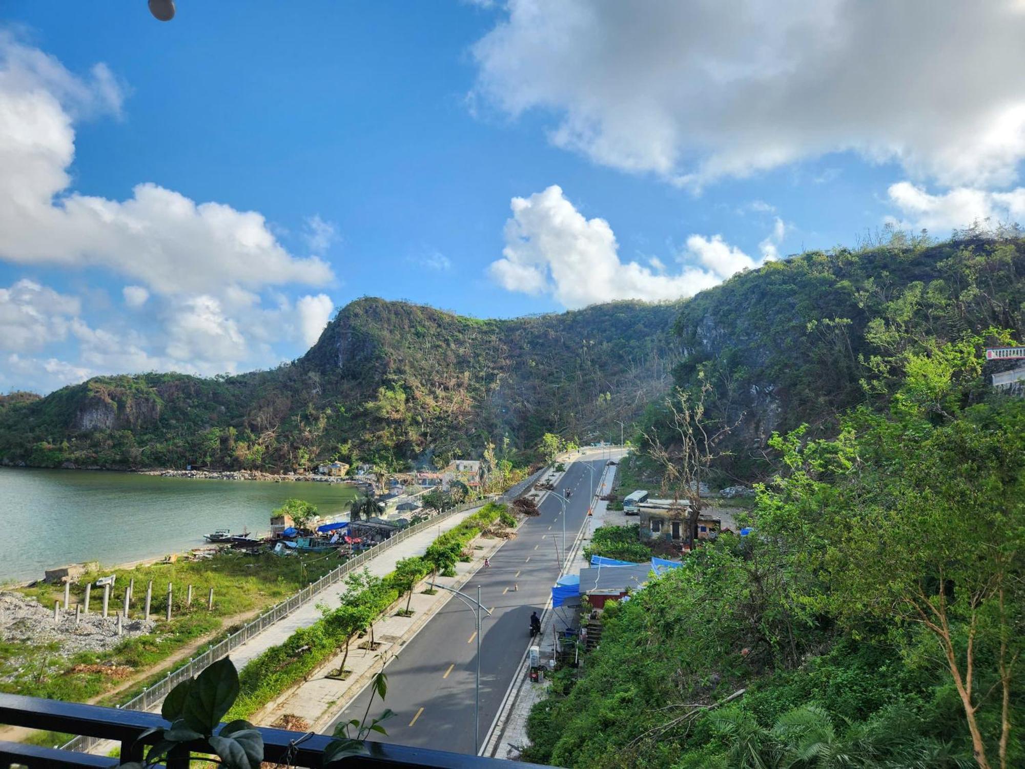 View Point - Anh Quan